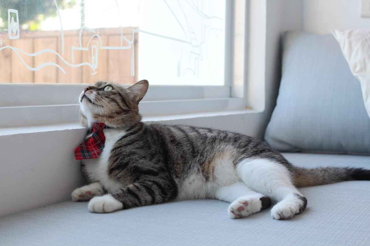 Bed and Breakfast Cat At Greece Nanwan Exterior foto